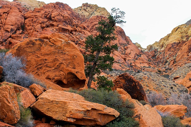 犹他州 红色岩石 红色的 - 上的免费照片