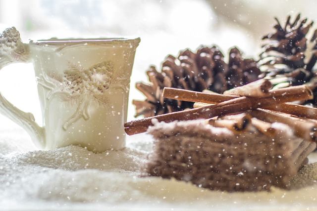 松果 雪 冬天 - 上的免费照片