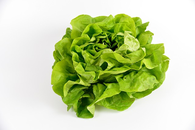 沙拉 绿色 蔬菜 - 上的免费照片