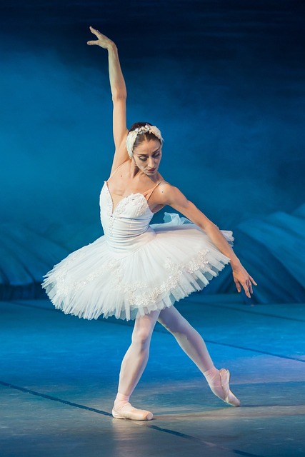 芭蕾舞女演员 天鹅湖 表现 - 上的免费照片