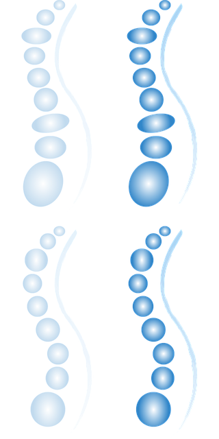 脊柱 不同的变形 椭圆 - 免费矢量图形