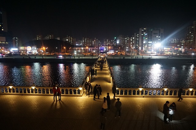 浦项 夜景 景观 - 上的免费照片