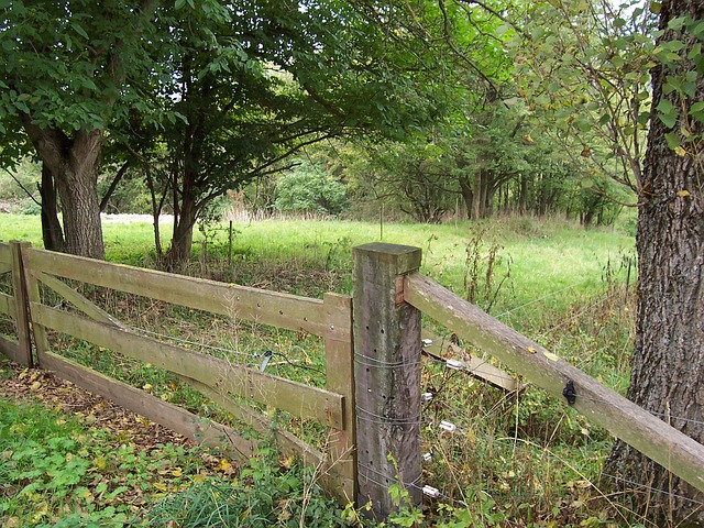 海登海姆 木围栏 - 上的免费照片