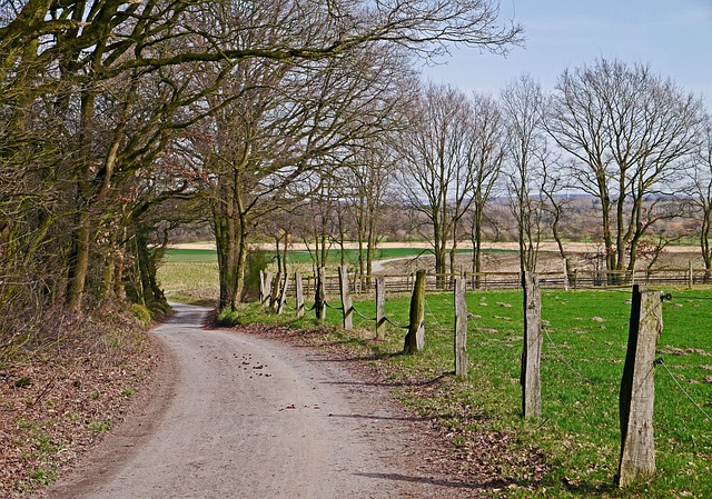 Münsterland 农业 经济路线 - 上的免费照片