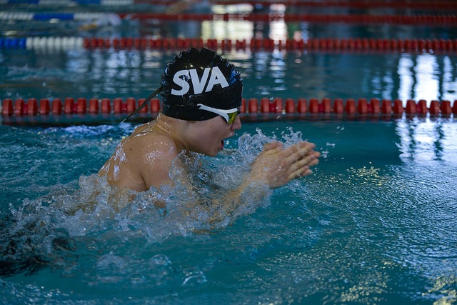 池游泳 运动员 国际歌游泳会议 埃尔兰根11 - 上的免费照片