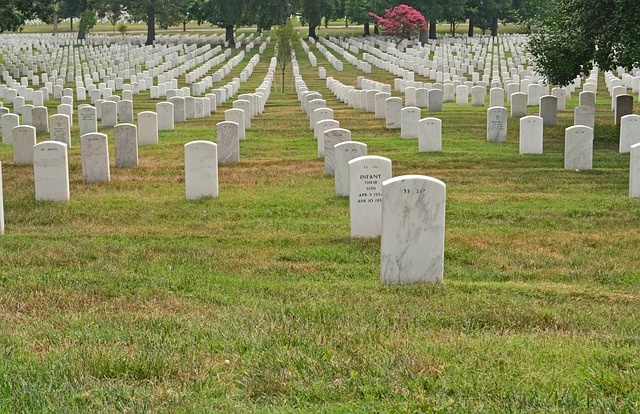 弗吉尼亚州 阿灵顿国家公墓 墓地 - 上的免费照片