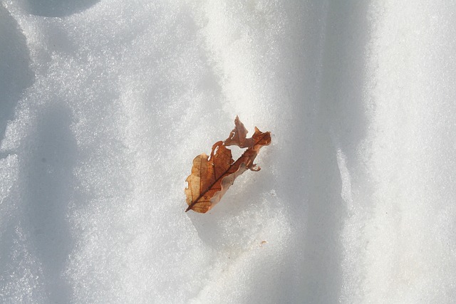 雪 山 天空 - 上的免费照片