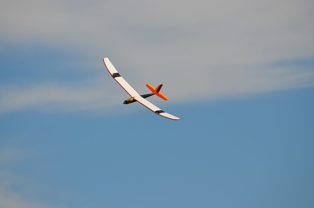 滑翔机 Rc滑翔机 无线电遥控飞机 - 上的免费照片