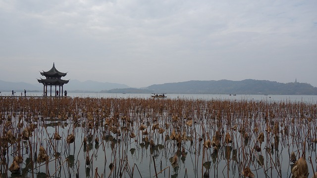 西湖 湖面 - 上的免费照片