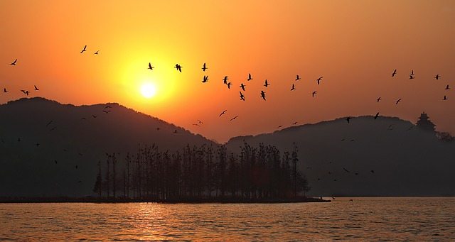 夕阳 东湖 武汉 - 上的免费照片