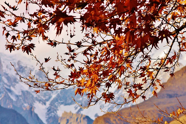 山 秋天 风景秀丽的 - 上的免费照片