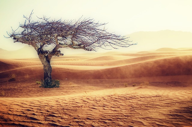 沙漠 干燥 景观 - 上的免费照片