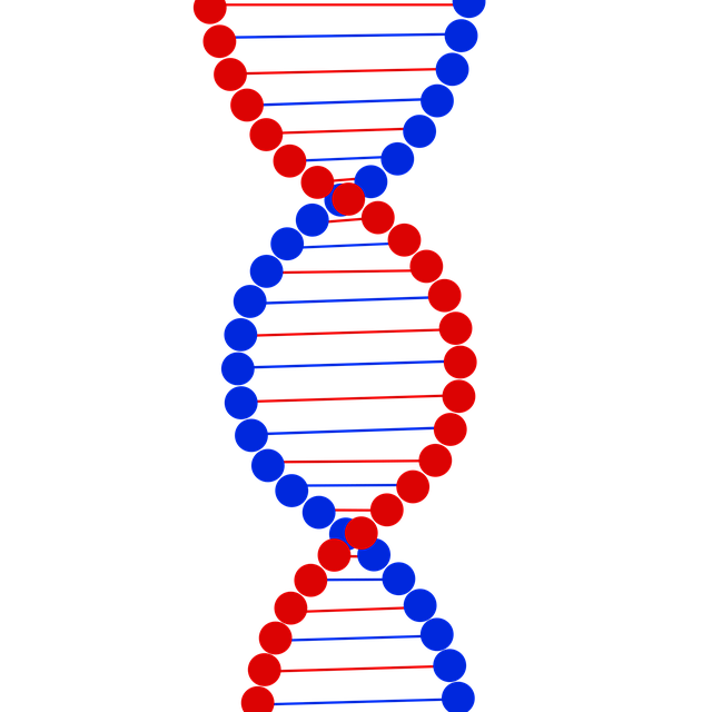 Dna 科学 药品 - 上的免费图片