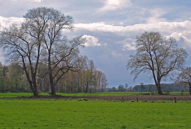 四月的天气 Münsterland 春天 - 上的免费照片