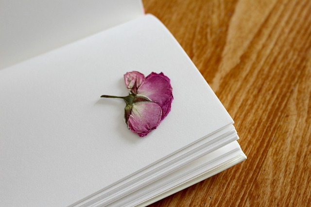 玫瑰 一本书 笔记本 - 上的免费照片