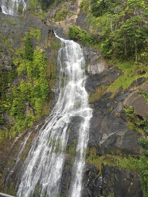 Waterfall Green - 上的免费照片