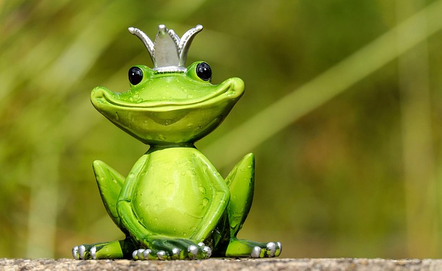 青蛙 青蛙王子 王子 - 上的免费照片