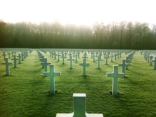 坟场 倒下的士兵 墓 - 上的免费照片