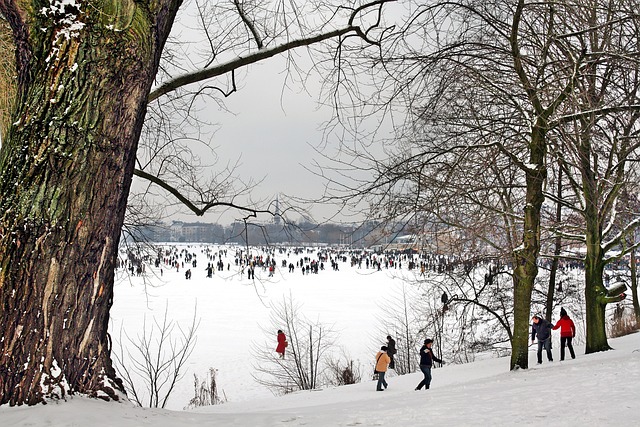 Eisvergnügen 冬天的故事 Alster - 上的免费照片