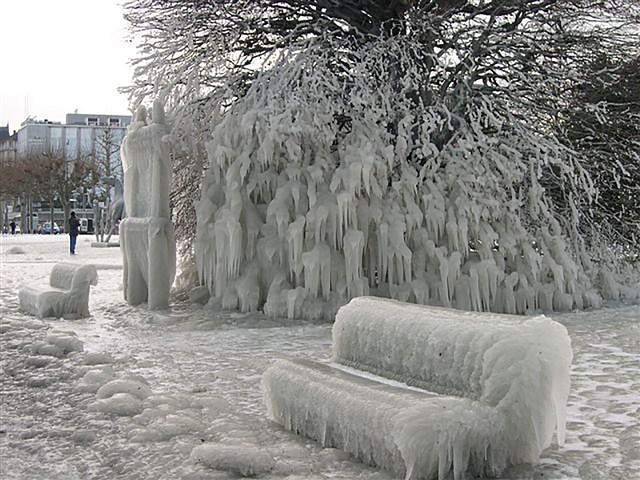 寒冷的 雪 冬天 - 上的免费照片