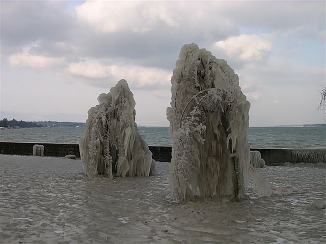 寒冷的 雪 冬天 - 上的免费照片