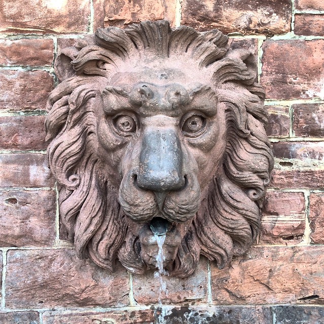 狮子 喷泉 水 - 上的免费照片