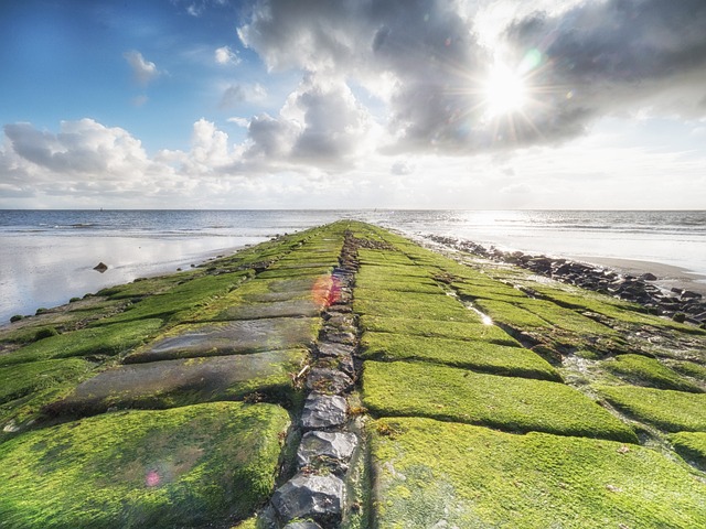 Norderney 坝 海滩 - 上的免费照片