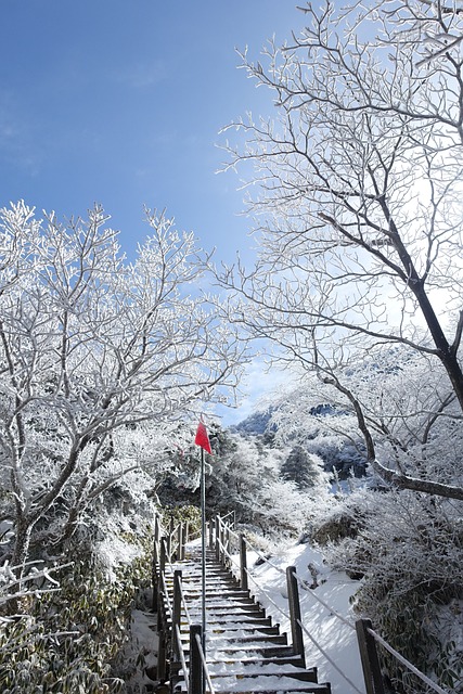 冬季 雪山 济州岛 - 上的免费照片