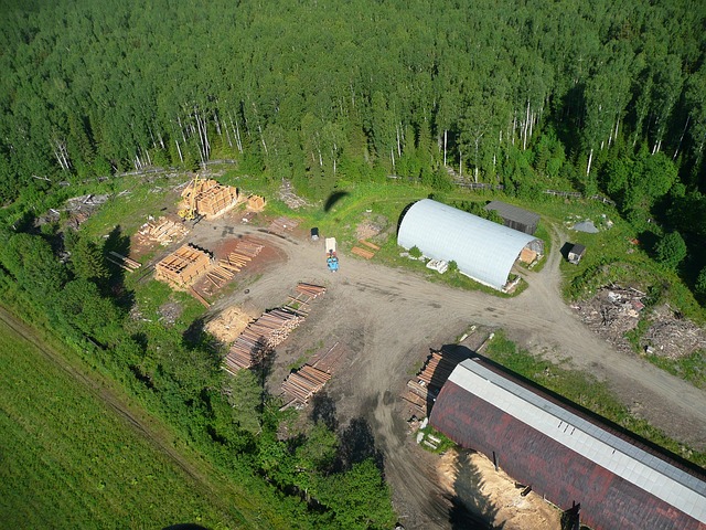 航班 滑翔伞 锯木厂 - 上的免费照片