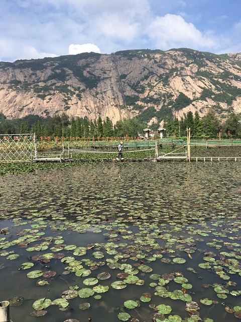 温州 龙湾 - 上的免费照片