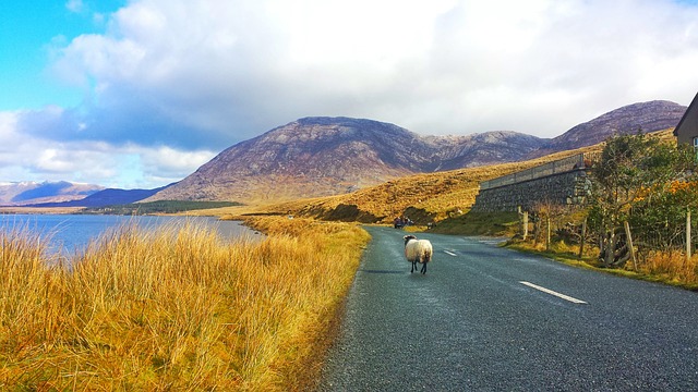 爱尔兰 Connemara 欧洲 - 上的免费照片