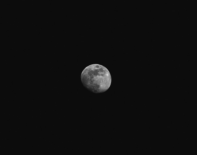 打蜡拱起可能的月亮 月亮 凸出的 - 上的免费照片