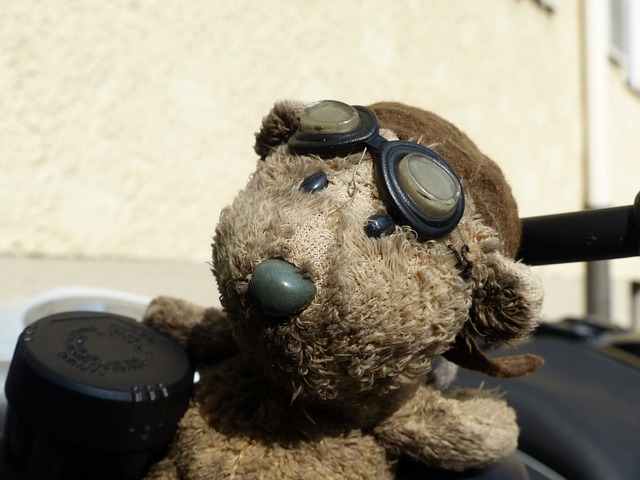 熊 摩托车 眼镜 - 上的免费照片