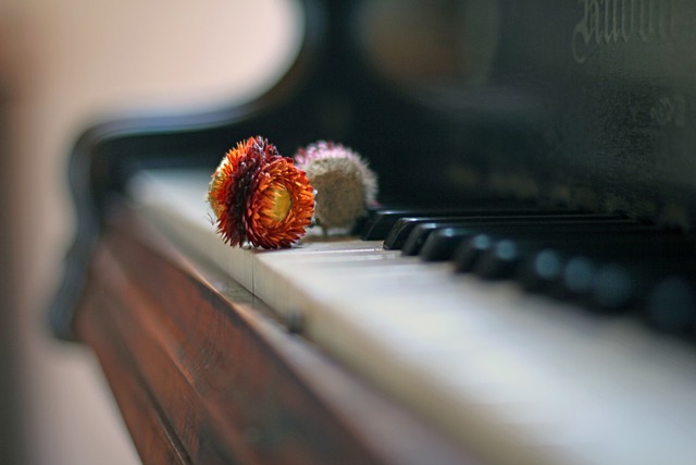 钢琴 干燥花 古董 - 上的免费照片