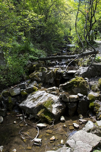 自然 山川 溪流 - 上的免费照片
