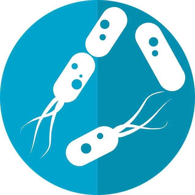 细菌的图标 微生物的图标 肠道细菌 - 免费矢量图形