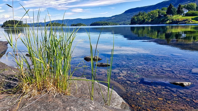 景观 水 湖 - 上的免费照片