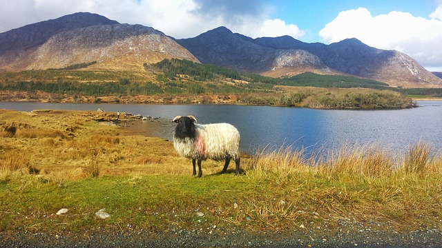 爱尔兰 Connemara 欧洲 - 上的免费照片