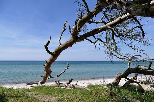 波罗的海 西海滩 Fischland-达斯 - 上的免费照片