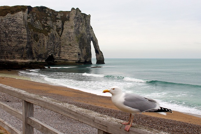 Etretat 法国 岩石 - 上的免费照片