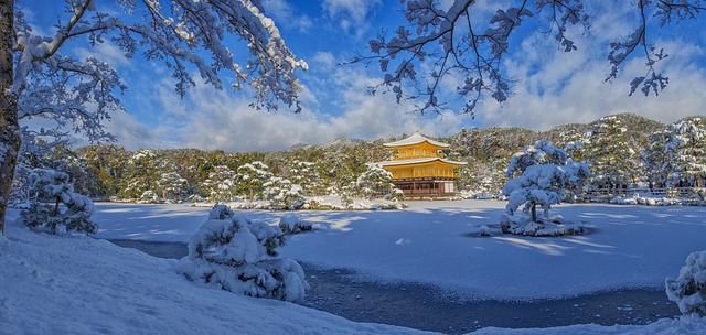 全景观 金阁寺 雪 - 上的免费照片