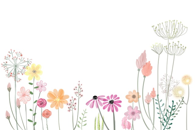 花 花瓣 春天 - 上的免费图片