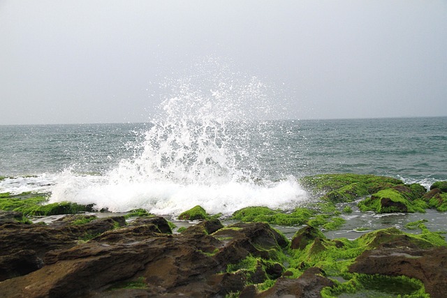 浪花 泡沫 海 - 上的免费照片