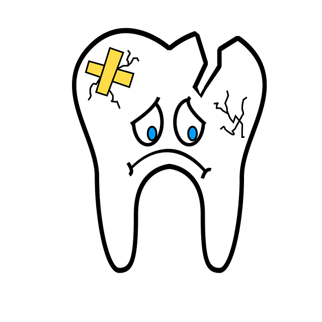 破碎的牙齿 齿 牙齿 - 上的免费图片