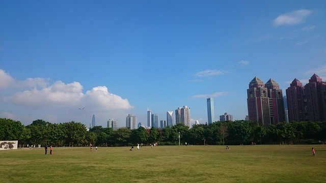 Shenzhen Lawn Blue - 上的免费照片