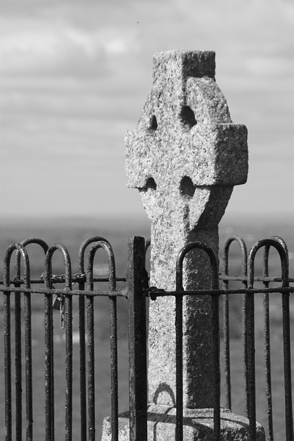 塔拉山 爱尔兰 叉 - 上的免费照片