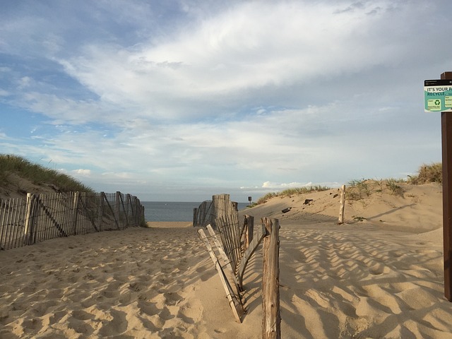 普洛 Capecod - 上的免费照片