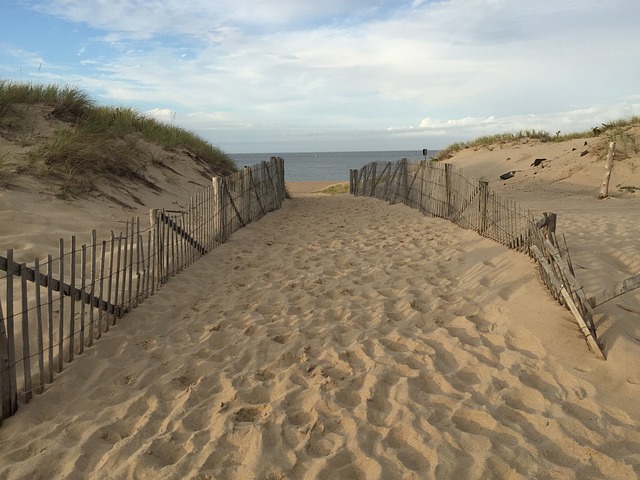 普洛 Capecod 马萨诸塞州 - 上的免费照片