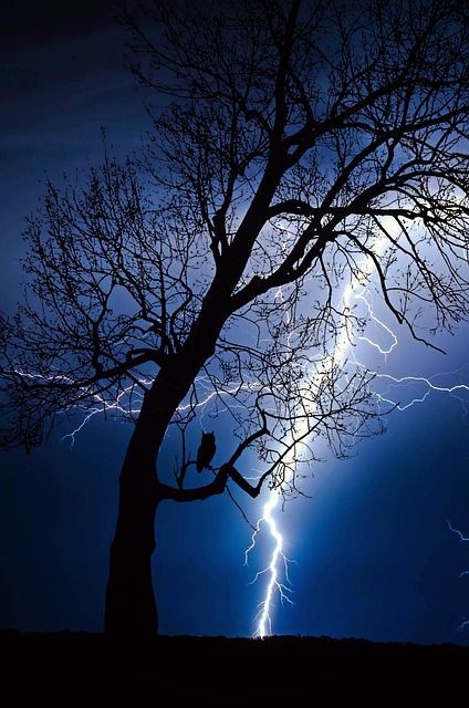 雷雨 闪电 天气 - 上的免费照片