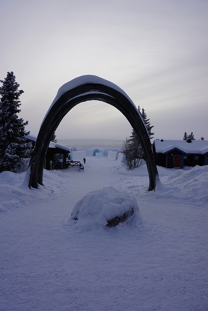 冰雪 瑞典 北 - 上的免费照片